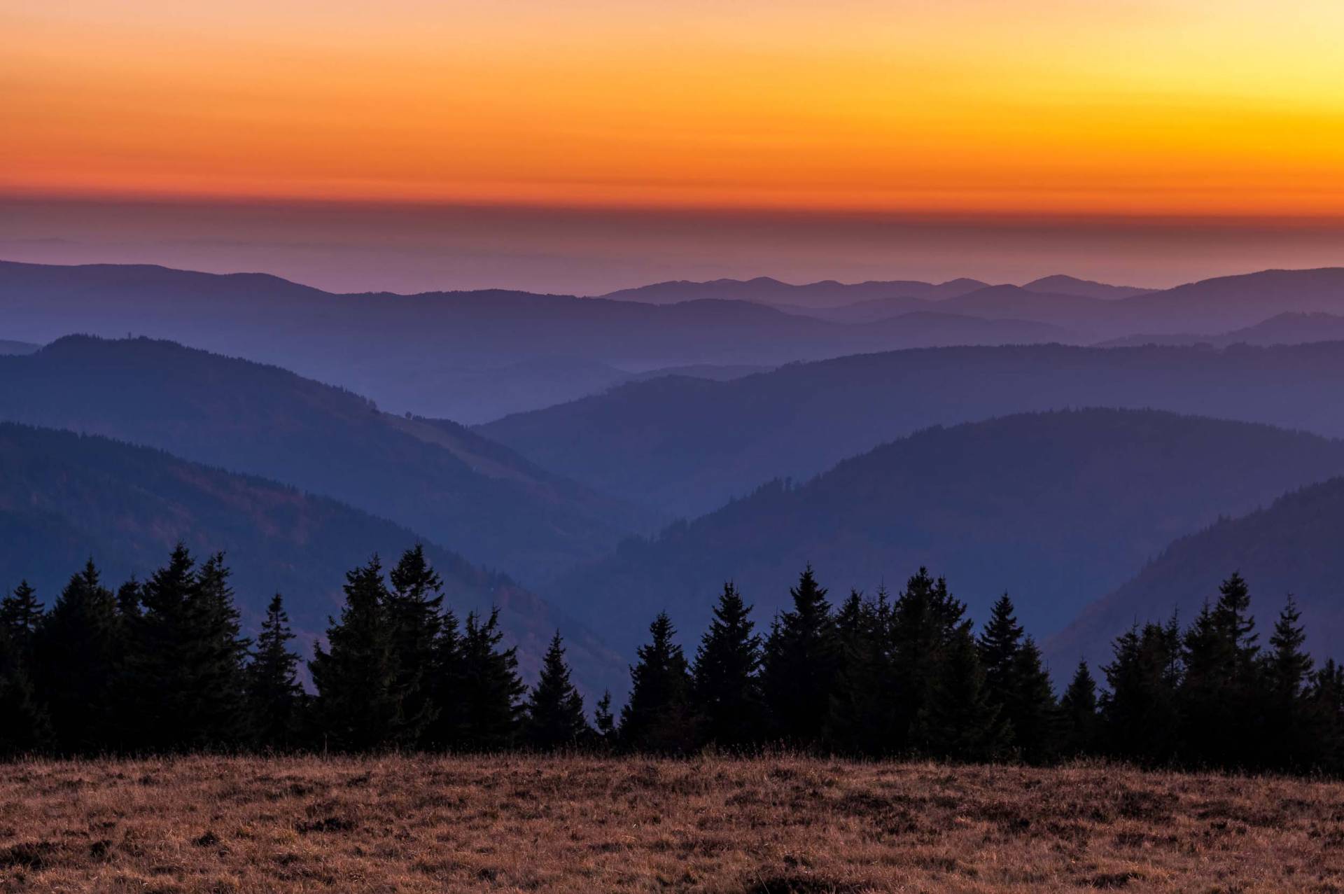 Blick vom Feldberg ins Land im Sonnenaufgang