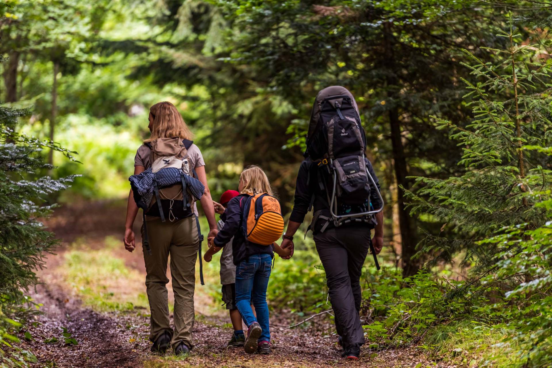 Familie wandert im Wald am Feldberg