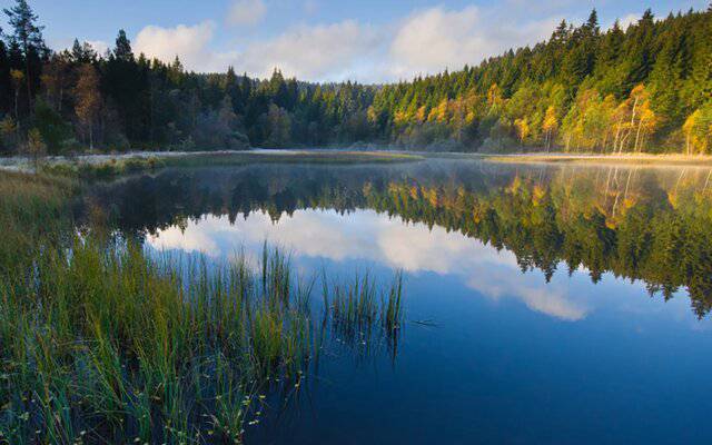 Lake Feldsee - Feldberger Hof 