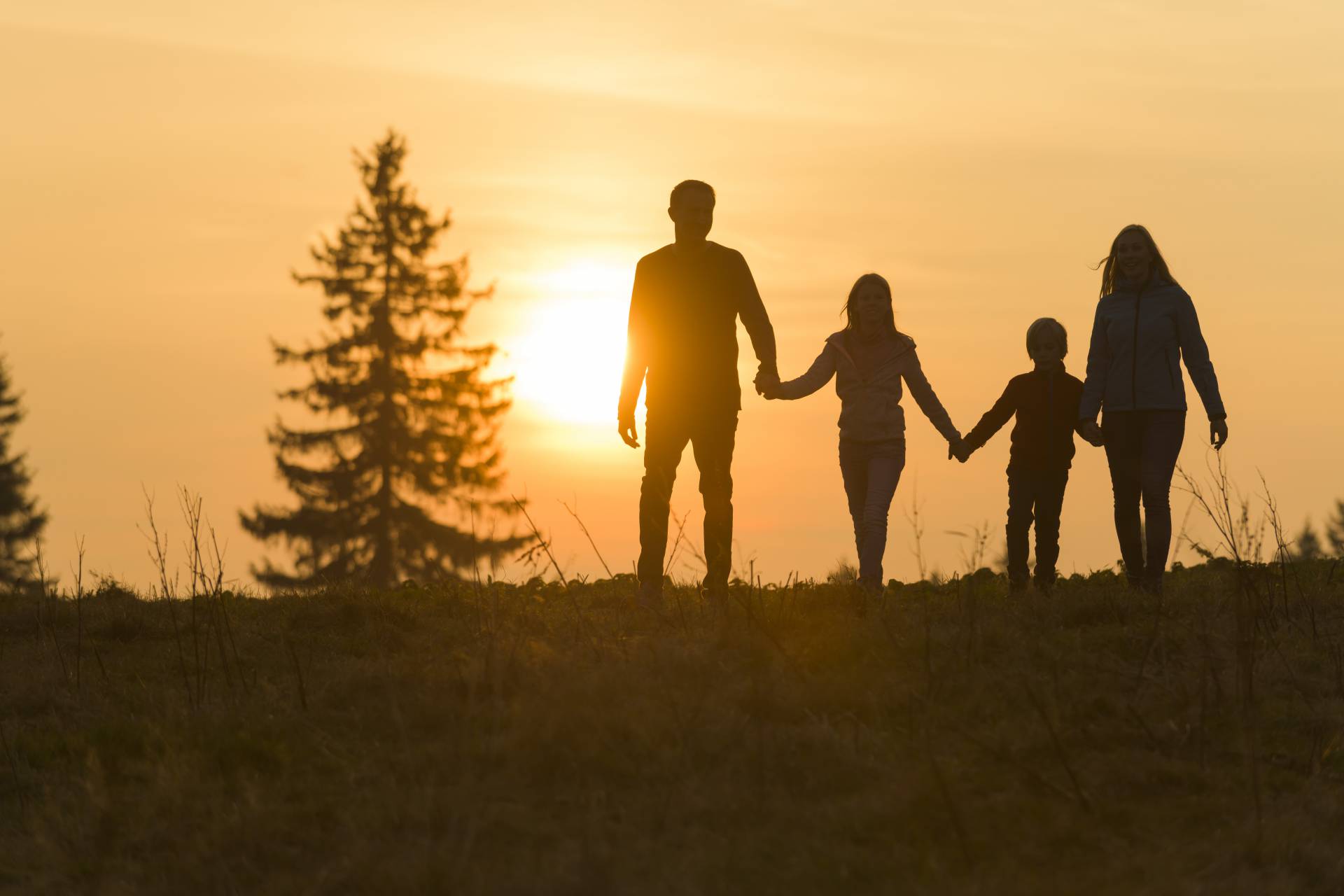 Familie läuft Hand in Hand im Sonnenuntergang