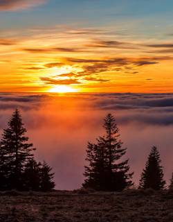 Sonnenaufgang am Feldberg