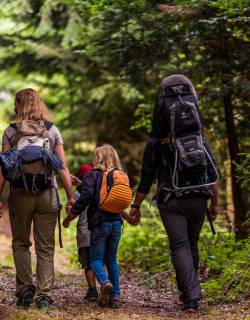 Familie wandert im Wald am Feldberg