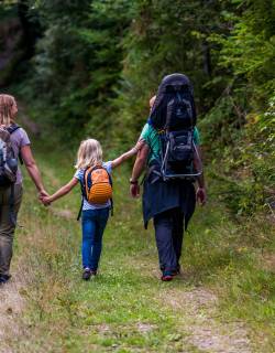 Familie beim Wandern im Wald am Feldberg