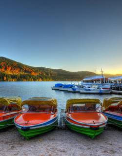 Tretboote am Titisee im Sonnenaufgang