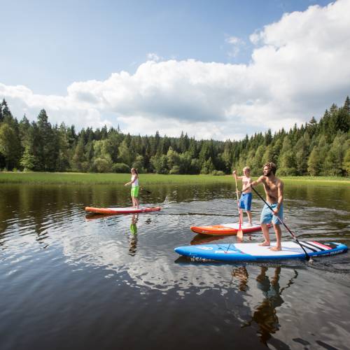 Stand Up Paddeling am Windgfallweiher
