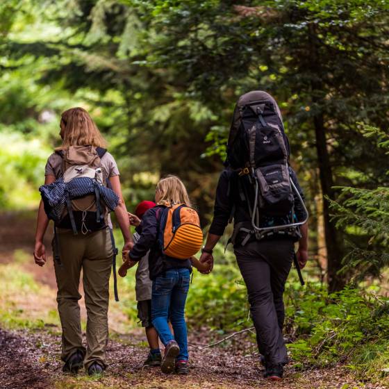 Familie wandert im Wald am Feldberg