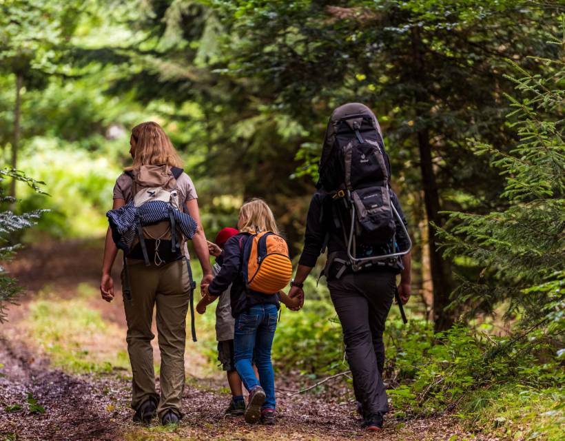 Familie wandert im Wald am Feldberg