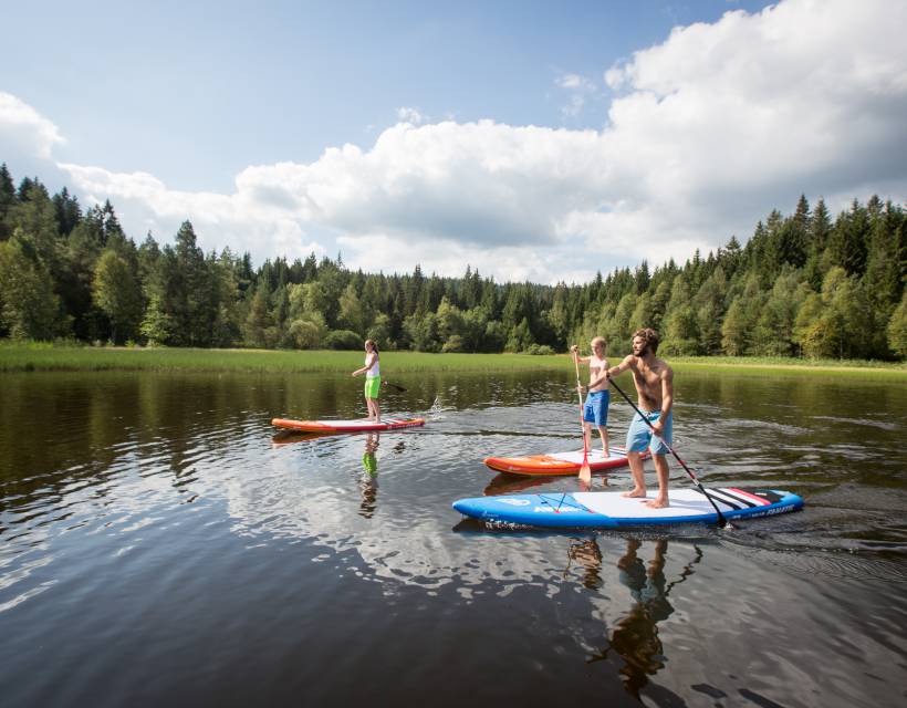 Stand Up Paddeling am Windgfallweiher