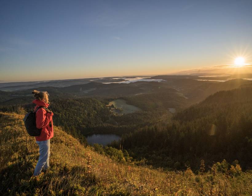 How to get the most out of the Hochschwarzwald Card: Valid for one-off use - Feldberger Hof 