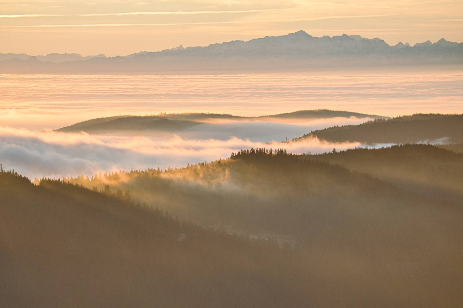 Herbstwandern mit Kindern am Feldberg Symbolfoto
