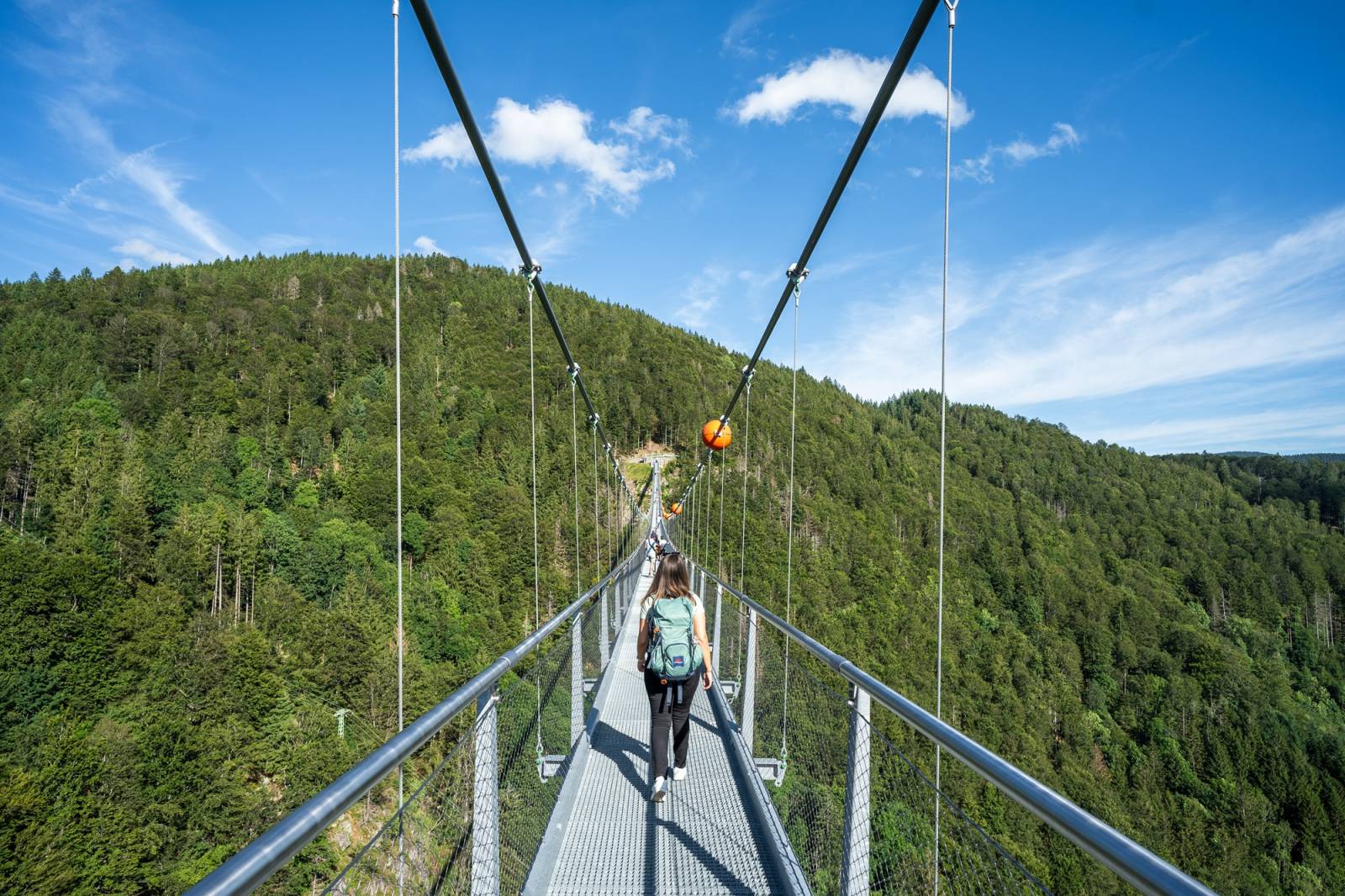 Herbstwandern mit Kindern am Feldberg Symbolfoto