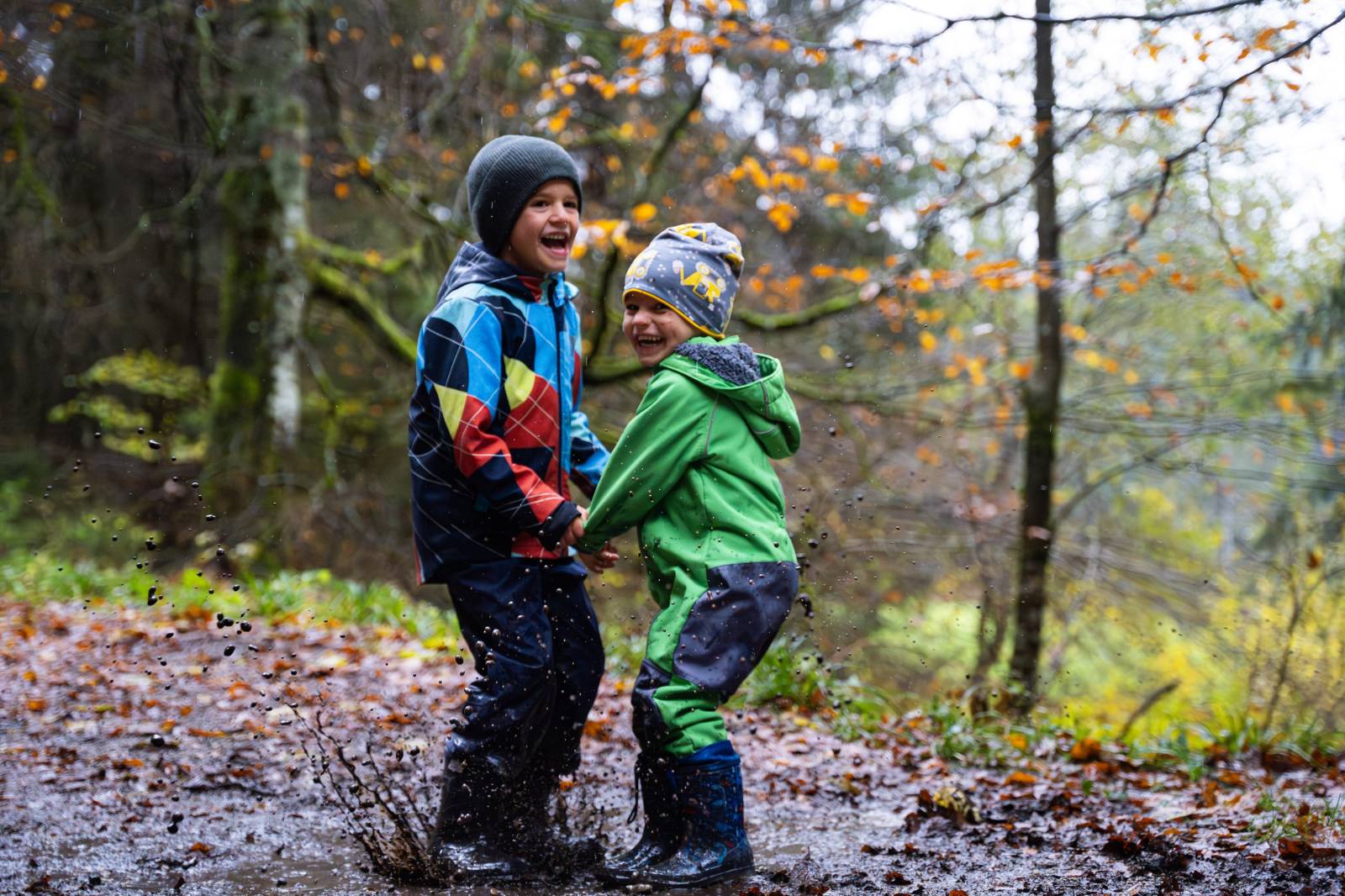 Herbstwandern mit Kindern am Feldberg Symbolfoto