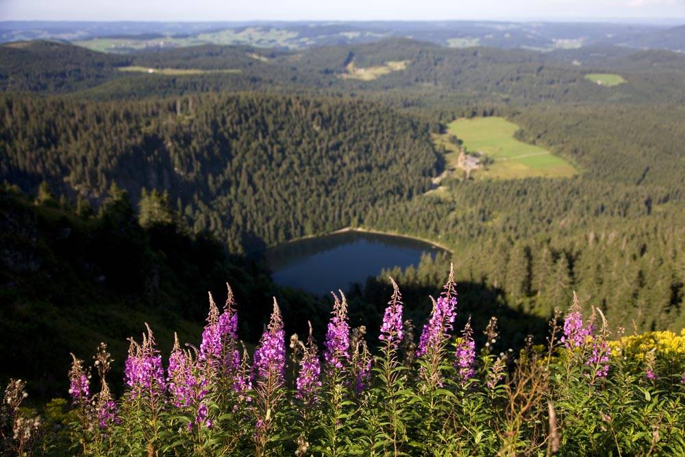 Herbstwandern mit Kindern am Feldberg Symbolfoto