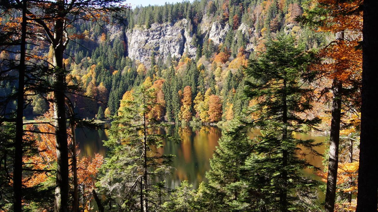 Herbstwandern mit Kindern am Feldberg Symbolfoto
