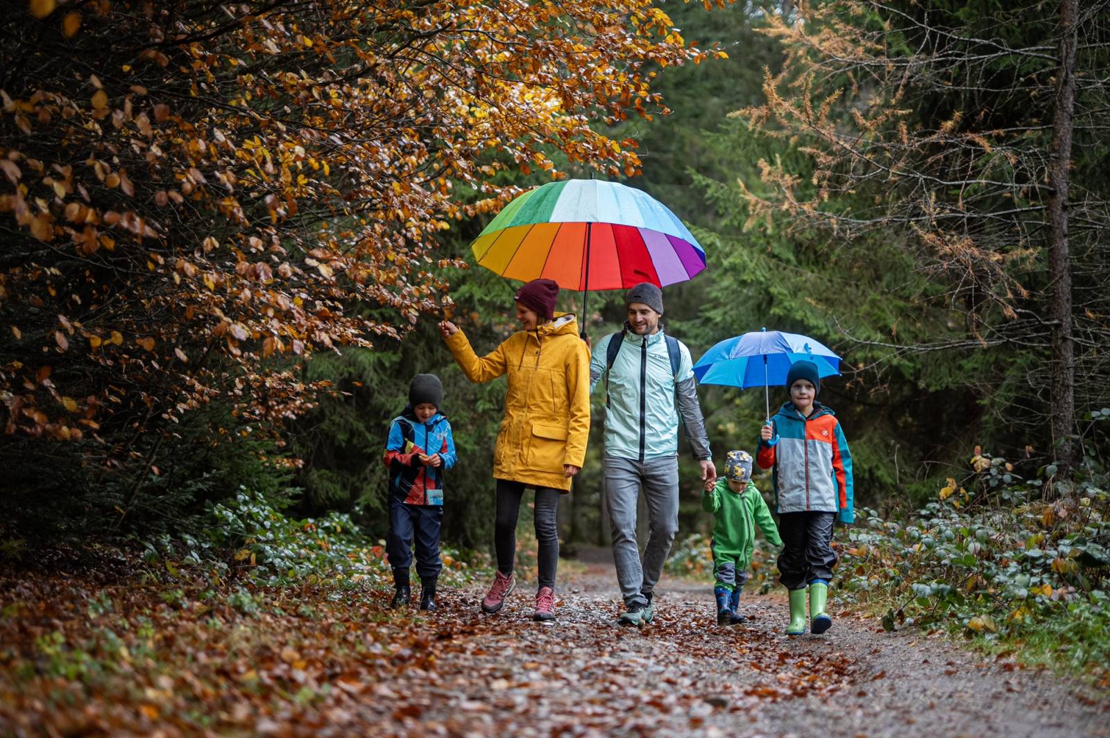Herbstwandern mit Kindern am Feldberg Symbolfoto