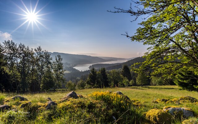 Landschaft Hochschwarzwald