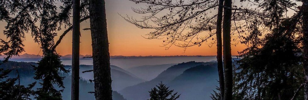 Nebeliger Hochschwarzwald