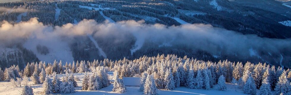 Traumhafte Winterlandschaft Hochschwarzwald