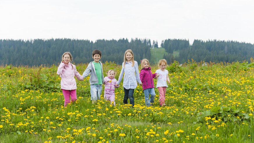 Kinder in Blumenwiese