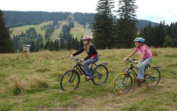 Radfahrer auf Wiese