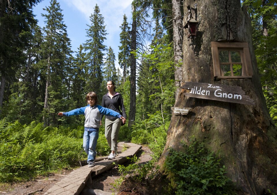 Familie im Wald