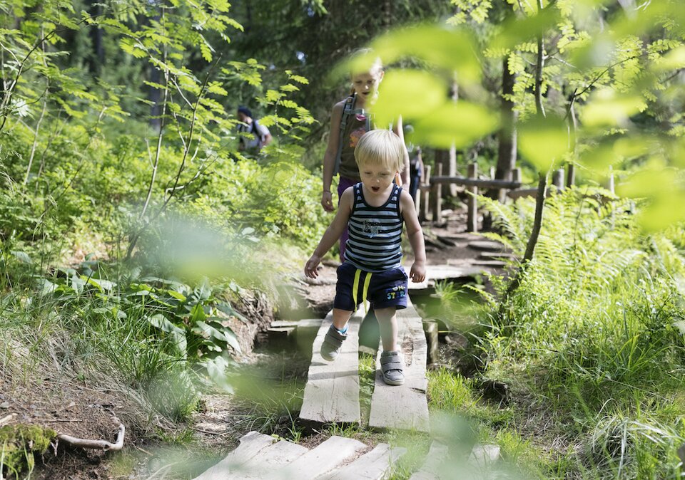 Junge auf Wichtelpfad im Wald