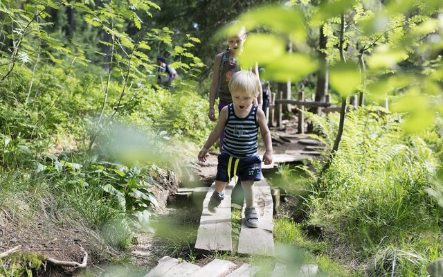 Kinder erkunden den Wichtelpfad