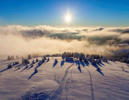 Winter am Feldberg