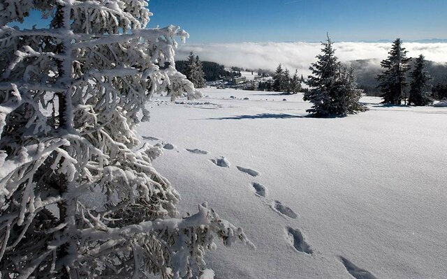 Winterlandschaft