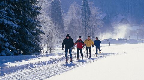 Gruppe beim Langlaufen